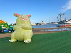 -秦皇岛乐岛海洋王国