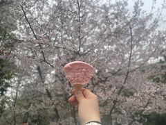 -武汉大学-樱园