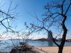 -青岛第二海水浴场