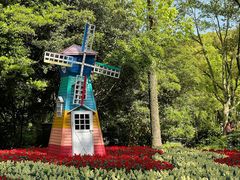 -上海共青森林公园