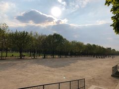 -杜乐丽花园