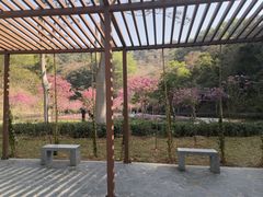 -红花湖景区