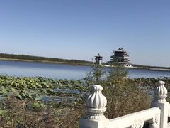 -呼兰河口湿地公园