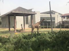 -石家庄市动物园