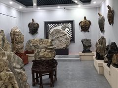 -游龙石文化科普馆