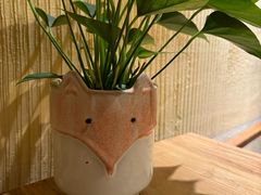 -萤火虫咖啡(后海店)