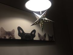 -吃饼人西餐(南开店)