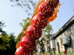 -香山公园
