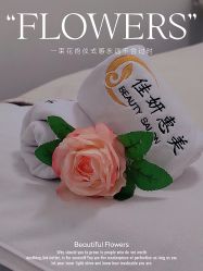 -CAMENAE嘉媚乐