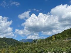 -龙井峡漂流
