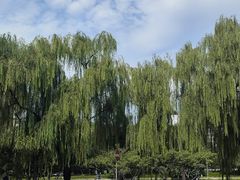 -北京凤凰岭
