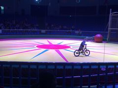 马戏表演-西安秦岭野生动物园