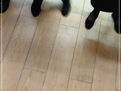 -赤坂亭·M9和牛烧肉(南京江南虹悦城店)