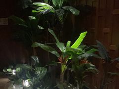 -紫莲花足道(柯桥古镇店)