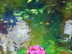 -中央广播电视总台(光华路办公区)