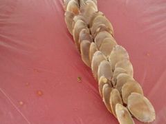 android_upload_pic-梅岭山庄