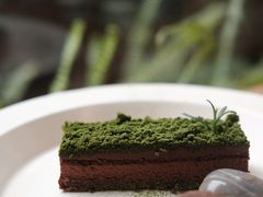 -知亘茶食