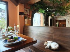 -猫岛主趣味餐厅(鼓浪屿店)