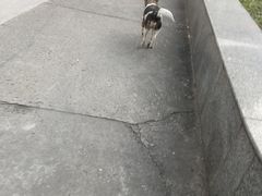 -薇薇螺蛳粉(长大总店)