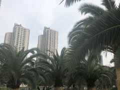 -苏州河梦清园环保主题公园