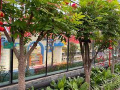 -南宫五洲植物乐园