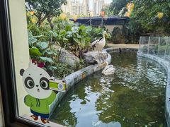 -熊猫自助餐厅.萌趣城堡(长隆熊猫酒店)