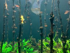 -成都浩海立方海洋公园