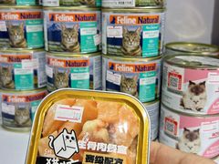 -青奢宠物·青奢猫舍