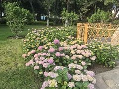 -常州古运河南大街文化旅游区-人民公园
