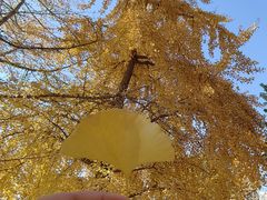 -辽宁大学(崇山校区)