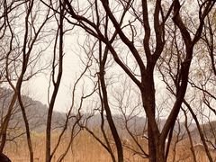 -西湖风景区-江洋畈生态公园