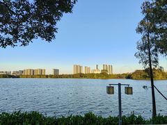 -顺峰山公园