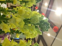 iphone_upload_pic-太极·粤菜餐厅(亚运村鸟巢店)