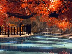 -寻梦盛唐主题水会(龙岗店)