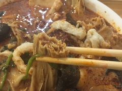 -高福麻辣烫(新阳店)