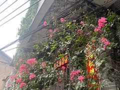 -小洲村