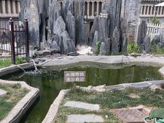 -卫鼎轩·曹公馆(鼓楼店)