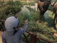 -陕西自然博物馆