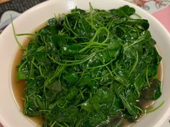 草头-蘭心餐厅(进贤路店)