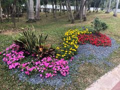 门面-人民公园(罗湖区)