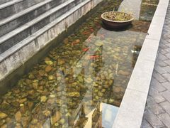 -九华山聚龙大酒店