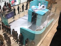 -Tiffany & Co.蒂芙尼
(南京德基广场店)