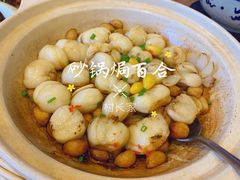 砂锅焗百合-村长家的疙瘩汤·东营菜(东营茶城店)