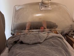 -承启堂中医馆·推拿·针灸·把脉(青羊馆)