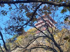 -终南山南五台景区