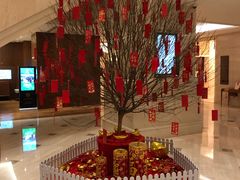-上海新发展亚太JW万豪酒店