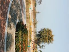 -渭河城市绿地运动公园