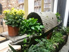 -猫的天空之城概念书店(杭州南宋御街店)