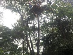-芦仙山景区-飞越丛林探险乐园