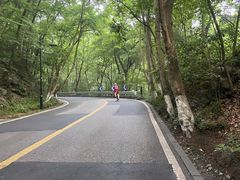 -龙坞茶村